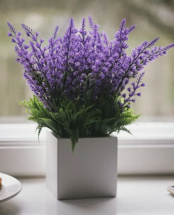 Vasinho de lavanda em vaso branco minimalista