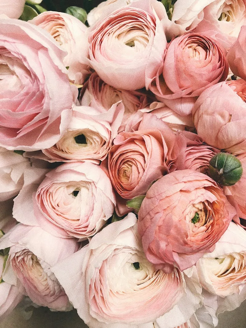 Buque elegante com rosas e eucalipto