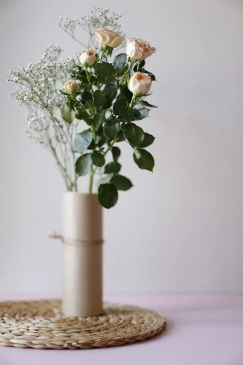 Rosas em vaso como presente especial