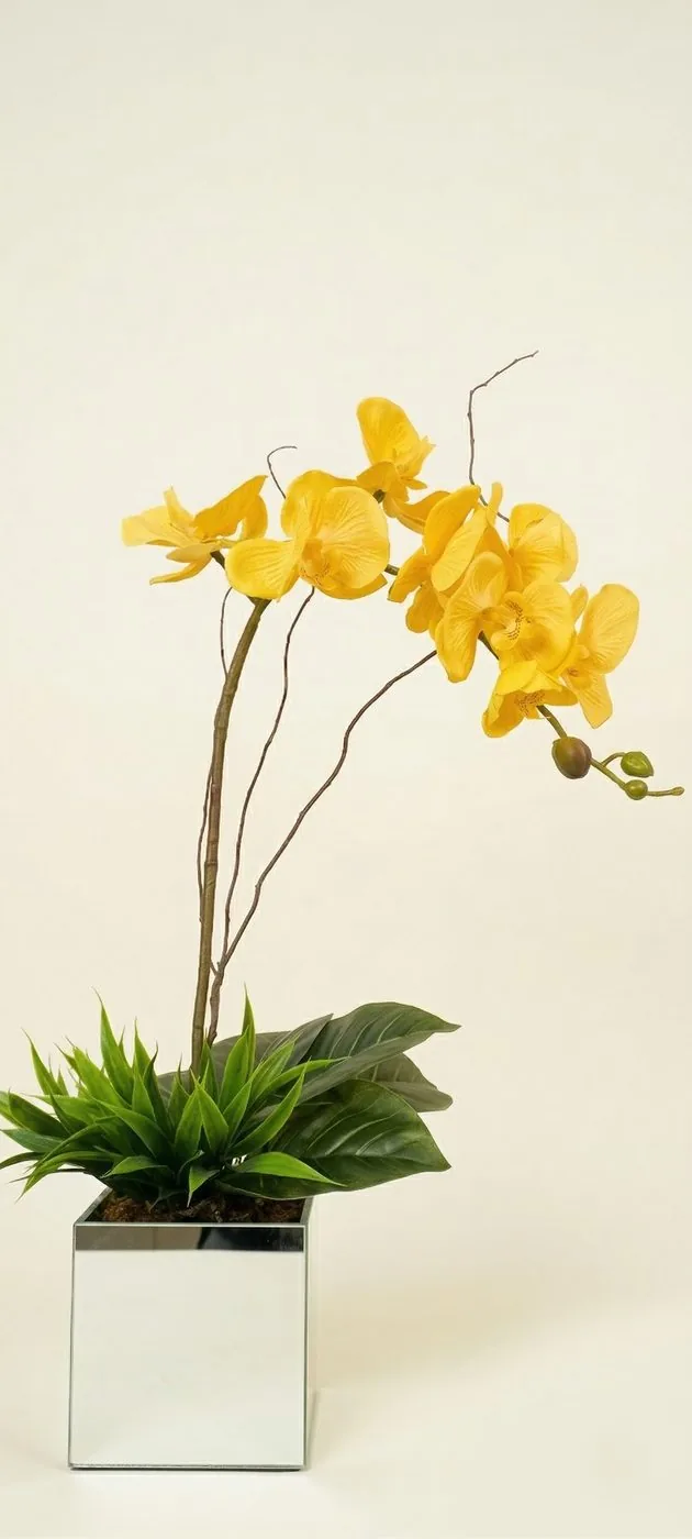 Arranjo floral residencial